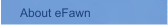 About eFawn